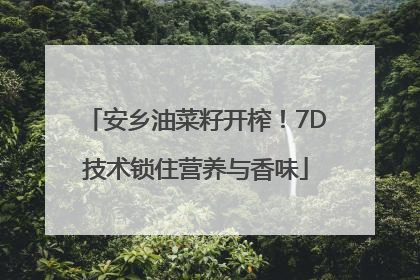 安乡油菜籽开榨！7D技术锁住营养与香味