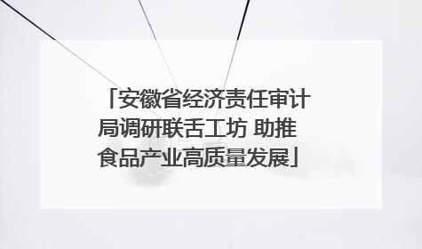安徽省经济责任审计局调研联舌工坊 助推食品产业高质量发展