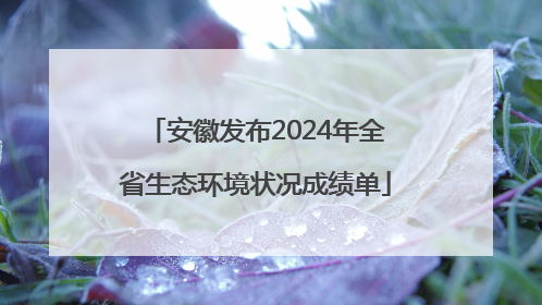 安徽发布2024年全省生态环境状况成绩单