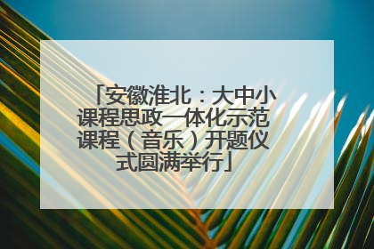 安徽淮北：大中小课程思政一体化示范课程（音乐）开题仪式圆满举行