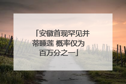 安徽首现罕见并蒂睡莲 概率仅为百万分之一