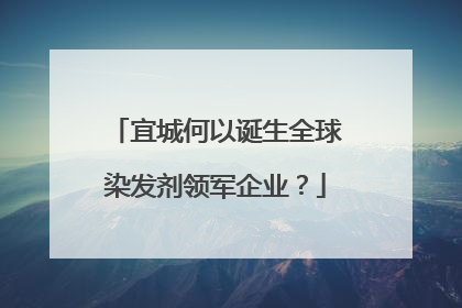 宜城何以诞生全球染发剂领军企业？