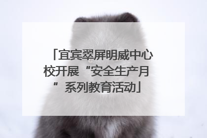 宜宾翠屏明威中心校开展“安全生产月”系列教育活动