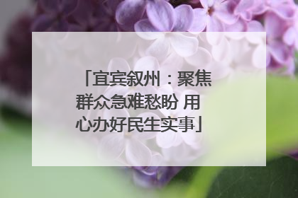 宜宾叙州：聚焦群众急难愁盼 用心办好民生实事