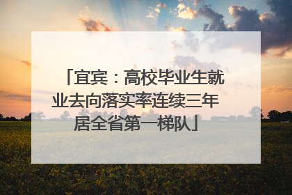 宜宾：高校毕业生就业去向落实率连续三年居全省第一梯队