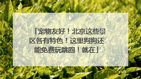 宠物友好！北京这些景区各有特色！这里狗狗还能免费玩跳圈！就在