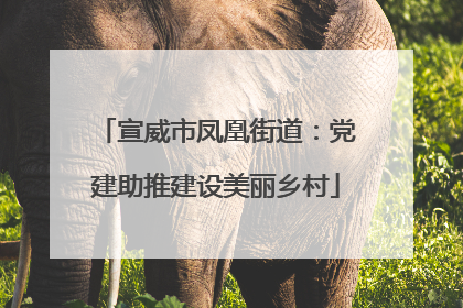 宣威市凤凰街道：党建助推建设美丽乡村