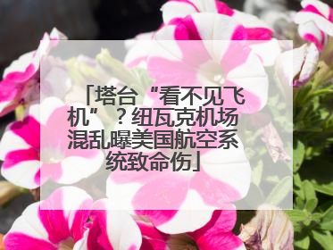 塔台“看不见飞机”？纽瓦克机场混乱曝美国航空系统致命伤