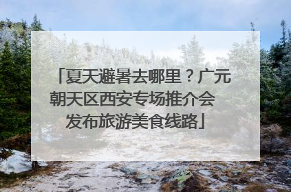 夏天避暑去哪里？广元朝天区西安专场推介会 发布旅游美食线路