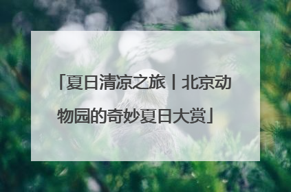 夏日清凉之旅丨北京动物园的奇妙夏日大赏