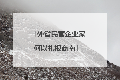 外省民营企业家何以扎根商南