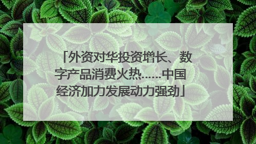 外资对华投资增长、数字产品消费火热……中国经济加力发展动力强劲