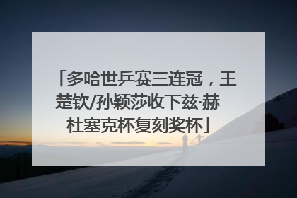 多哈世乒赛三连冠，王楚钦/孙颖莎收下兹·赫杜塞克杯复刻奖杯