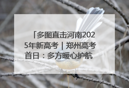 多图直击河南2025年新高考｜郑州高考首日：多方暖心护航 助力学子逐梦