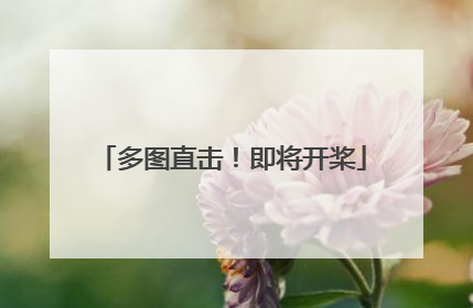 多图直击！即将开桨