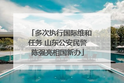 多次执行国际维和任务 山东公安民警陈强亮相国新办