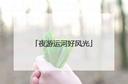 夜游运河好风光