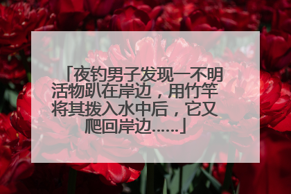 夜钓男子发现一不明活物趴在岸边，用竹竿将其拨入水中后，它又爬回岸边……