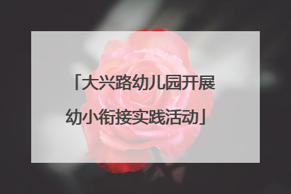 大兴路幼儿园开展幼小衔接实践活动