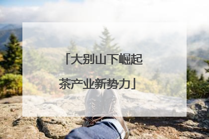 大别山下崛起茶产业新势力