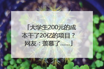 大学生200元的成本干了20亿的项目？网友：羡慕了……