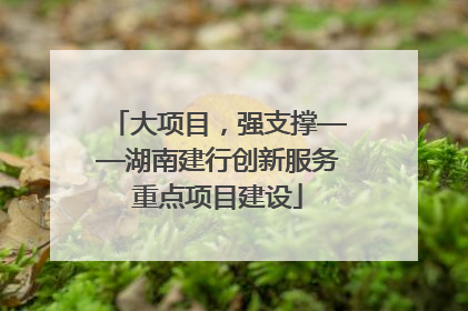 大项目，强支撑——湖南建行创新服务重点项目建设