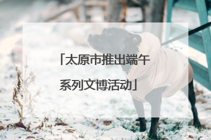 太原市推出端午系列文博活动