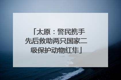 太原：警民携手 先后救助两只国家二级保护动物红隼
