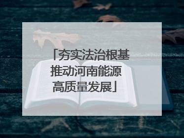 夯实法治根基 推动河南能源高质量发展