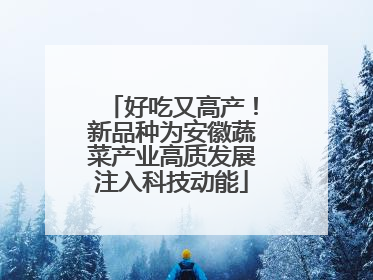好吃又高产！新品种为安徽蔬菜产业高质发展注入科技动能