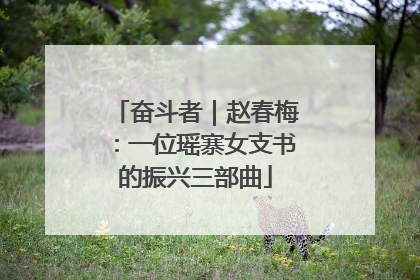 奋斗者｜赵春梅：一位瑶寨女支书的振兴三部曲