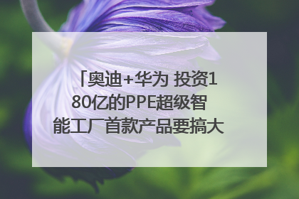 奥迪+华为 投资180亿的PPE超级智能工厂首款产品要搞大事情？｜粤港澳车展