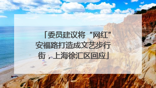 委员建议将“网红”安福路打造成文艺步行街，上海徐汇区回应