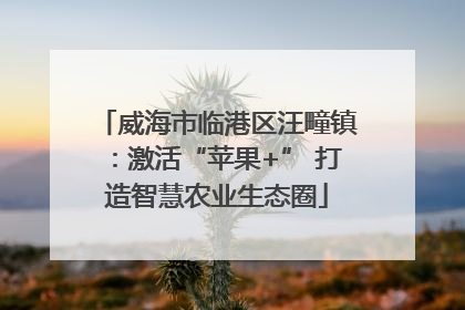威海市临港区汪疃镇：激活“苹果+” 打造智慧农业生态圈