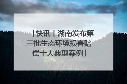 快讯丨湖南发布第三批生态环境损害赔偿十大典型案例