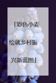 彩色小麦绘就乡村振兴新蓝图