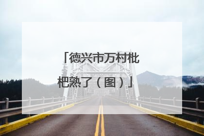 德兴市万村枇杷熟了（图）