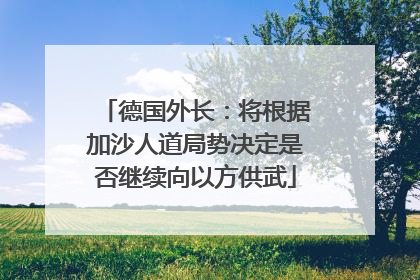 德国外长：将根据加沙人道局势决定是否继续向以方供武