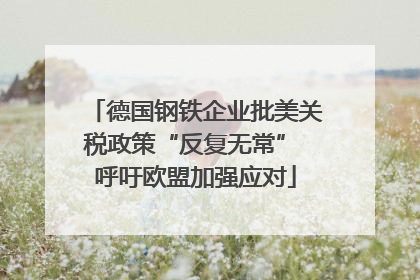 德国钢铁企业批美关税政策“反复无常” 呼吁欧盟加强应对