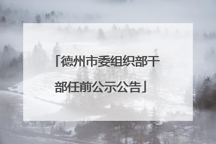 德州市委组织部干部任前公示公告