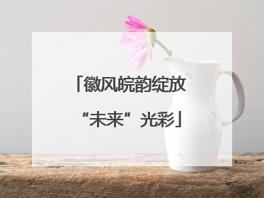 徽风皖韵绽放“未来”光彩