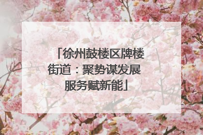 徐州鼓楼区牌楼街道：聚势谋发展 服务赋新能