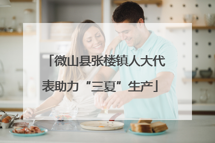 微山县张楼镇人大代表助力“三夏”生产