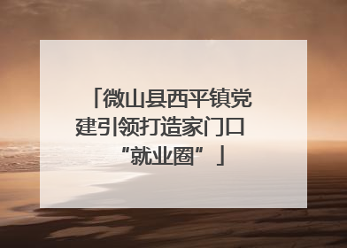 微山县西平镇党建引领打造家门口“就业圈”