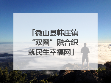 微山县韩庄镇“双圈”融合织就民生幸福网