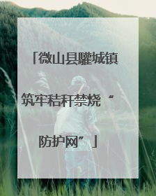 微山县驩城镇筑牢秸秆禁烧“防护网”