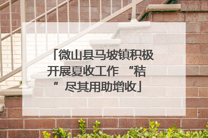 微山县马坡镇积极开展夏收工作 “秸”尽其用助增收