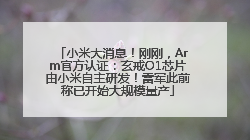 小米大消息！刚刚，Arm官方认证：玄戒O1芯片由小米自主研发！雷军此前称已开始大规模量产