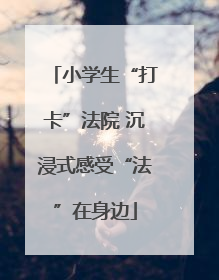 小学生“打卡”法院 沉浸式感受“法”在身边