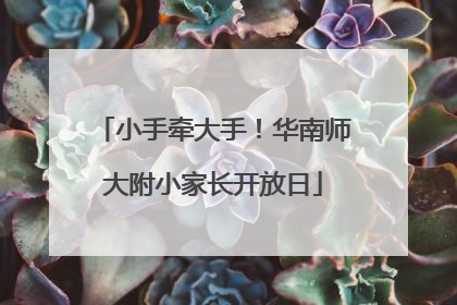 小手牵大手！华南师大附小家长开放日
